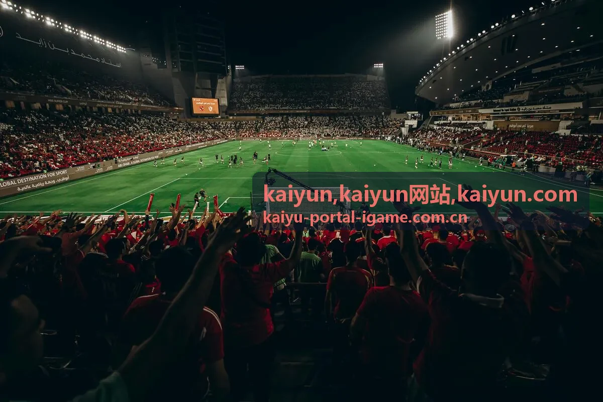 kaiyun.com 信息识别与服务说明