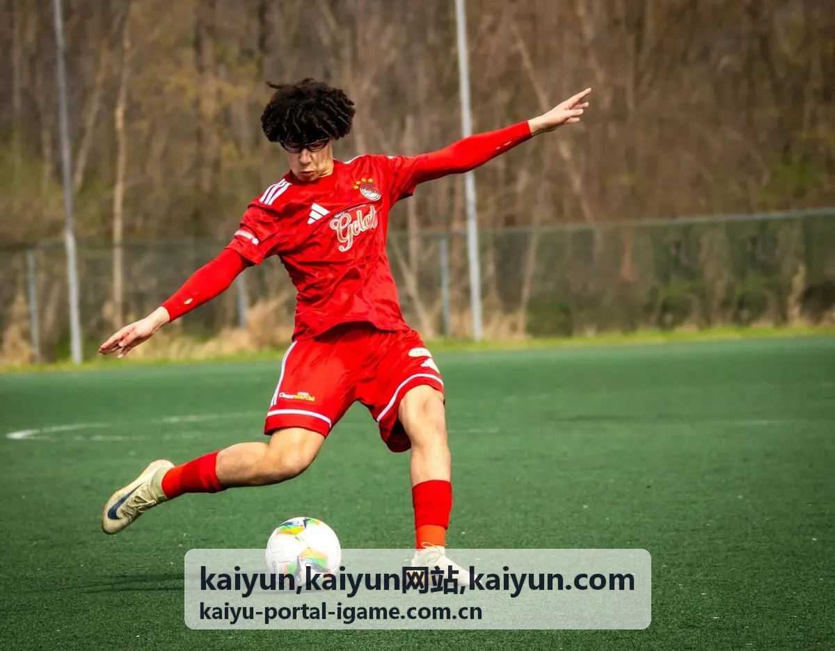 kaiyun网站使用场景与服务分类展示